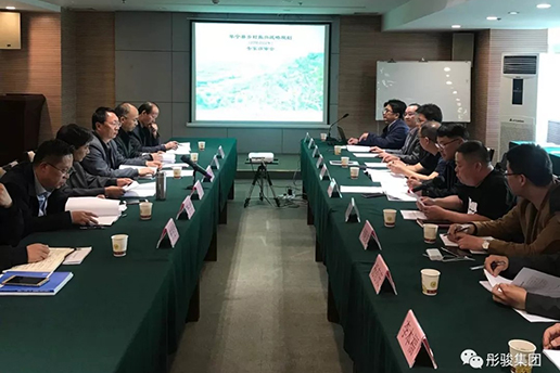 《华宁县乡村振兴战略规划》专家评审会